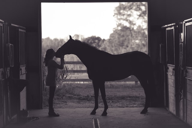 black and white photo of a person kissing their horses nose before leaving a barn